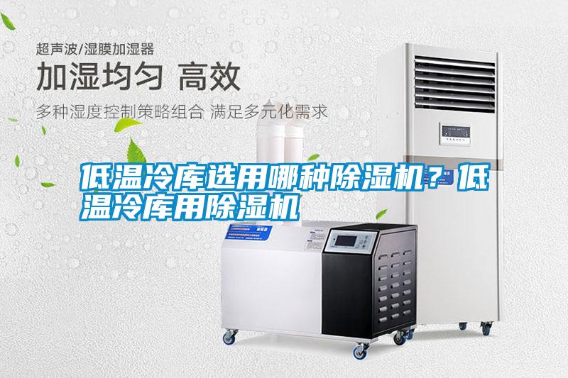 低溫冷庫選用哪種除濕機(jī)?低溫冷庫用除濕機(jī)