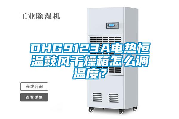 DHG9123A電熱恒溫鼓風干燥箱怎么調溫度？