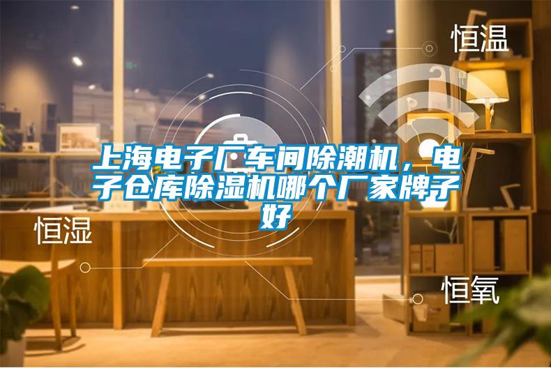 上海電子廠車間除潮機,電子倉庫除濕機哪個廠家牌子好