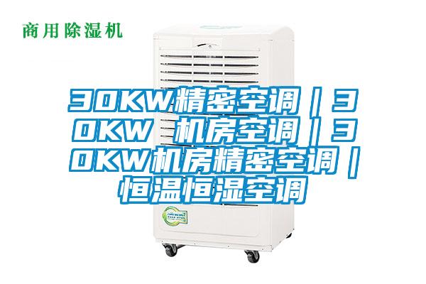 30KW精密空調(diào)|30KW 機房空調(diào)|30KW機房精密空調(diào)|恒溫恒濕空調(diào)