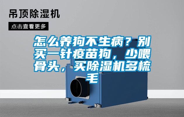 怎么養狗不生病?別買一針疫苗狗,少喂骨頭,買除濕機多梳毛