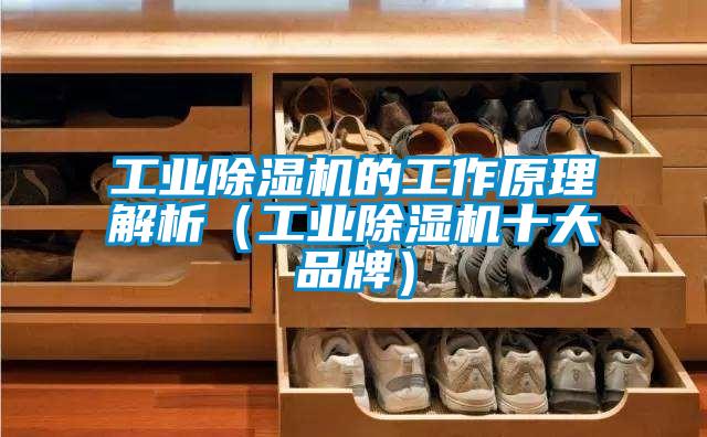 工業(yè)除濕機的工作原理解析(工業(yè)除濕機十大品牌)