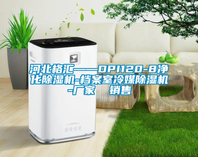 河北格匯——DPI120-8凈化除濕機(jī)-檔案室冷媒除濕機(jī)-廠家 銷售