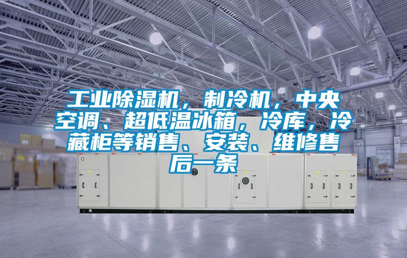 工業(yè)除濕機(jī)，制冷機(jī)，中央空調(diào)、超低溫冰箱，冷庫，冷藏柜等銷售、安裝、維修售后一條
