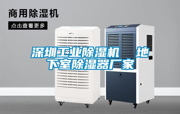 深圳工業(yè)除濕機(jī) 地下室除濕器廠家