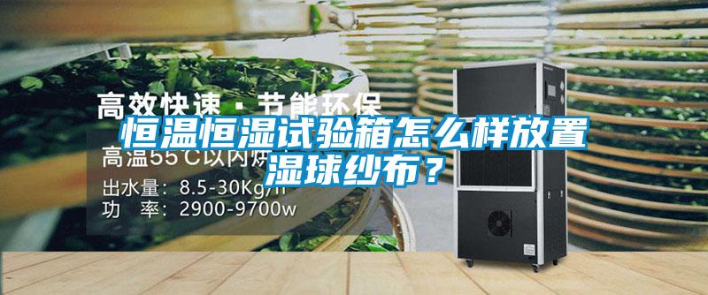 恒溫恒濕試驗箱怎么樣放置濕球紗布？