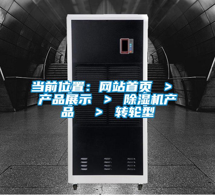 當前位置:網站首頁 > 產品展示 > 除濕機產品 > 轉輪型