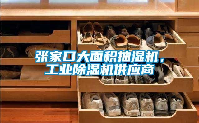 張家口大面積抽濕機,工業除濕機供應商