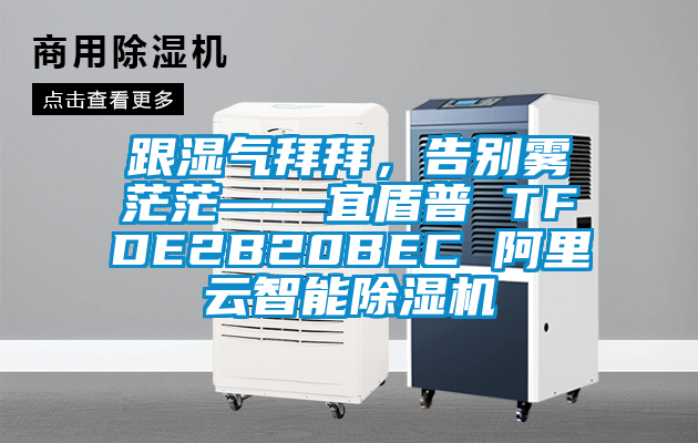 跟濕氣拜拜,告別霧茫茫——宜盾普 TFDE2B20BEC 阿里云智能除濕機(jī)