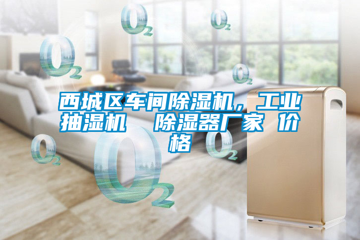 西城區車間除濕機，工業抽濕機  除濕器廠家 價格
